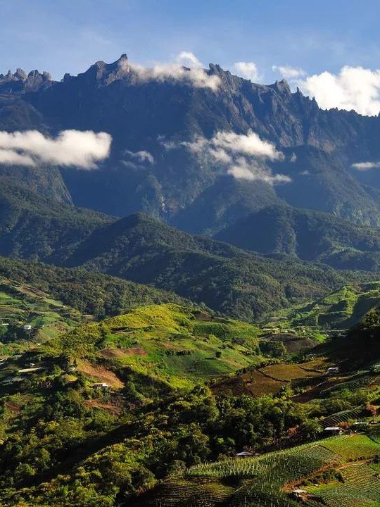 Discover the natural wonders of Kinabalu Park, home to the iconic Mount Kinabalu. This UNESCO-listed park is renowned for its rich biodiversity, scenic hiking trails, and cool mountain climate. Explore lush rainforest, unique النباتات, and diverse wildlife in one of Southeast Asia’s most important conservation areas. A perfect destination for eco-tourism and Muslim-friendly travel in Borneo, with accessible facilities and peaceful surroundings.