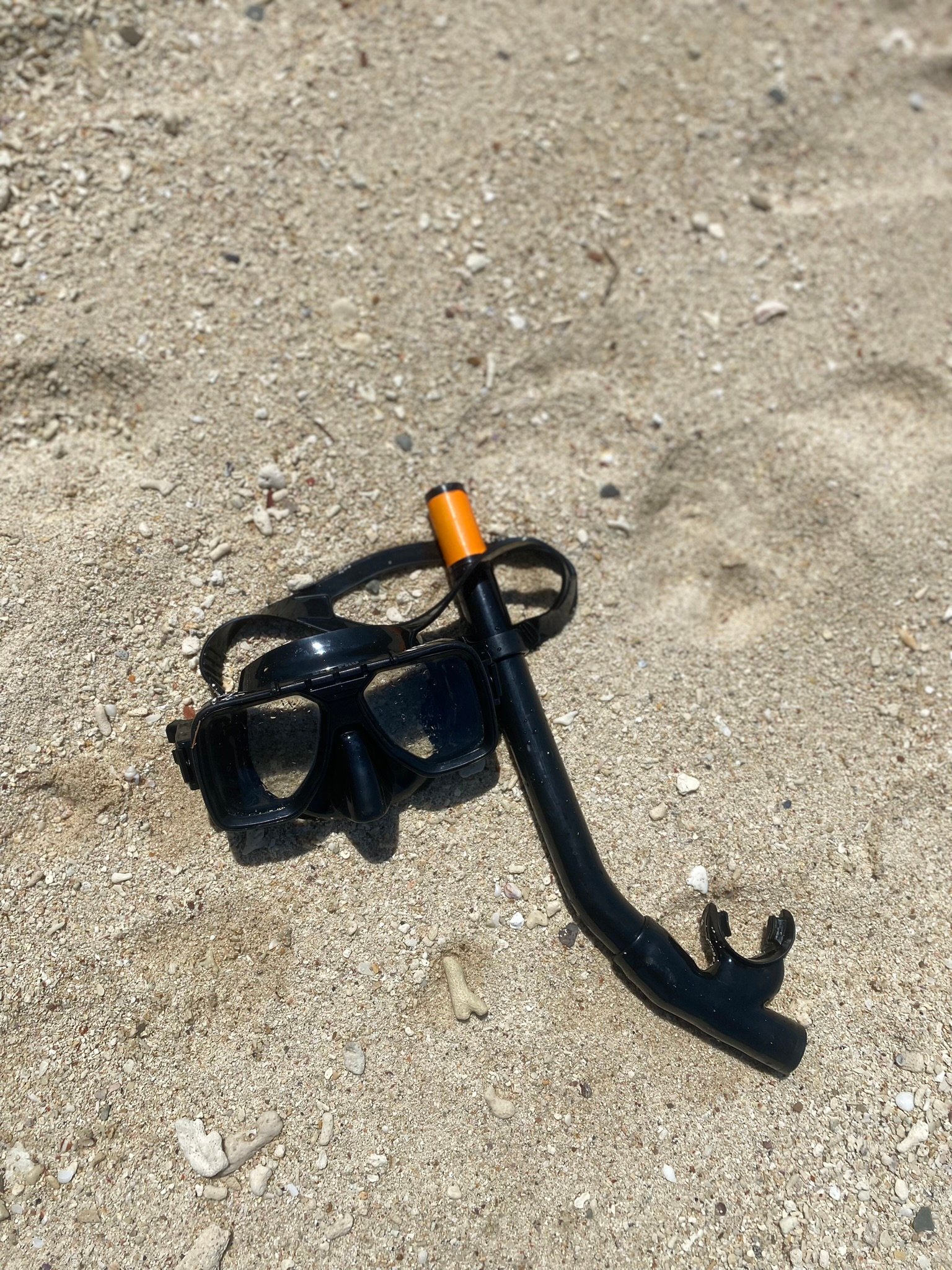 Enjoy unforgettable snorkeling in Borneo’s crystal-clear waters, especially around Semporna and the islands of Tunku Abdul Rahman Marine Park. Discover vibrant coral reefs, tropical fish, and sea turtles in some of Southeast Asia’s richest marine ecosystems. Perfect for beginners and experienced snorkelers alike, Borneo offers calm المياه and guided tours, with many Muslim-friendly options including halal meals and convenient facilities.