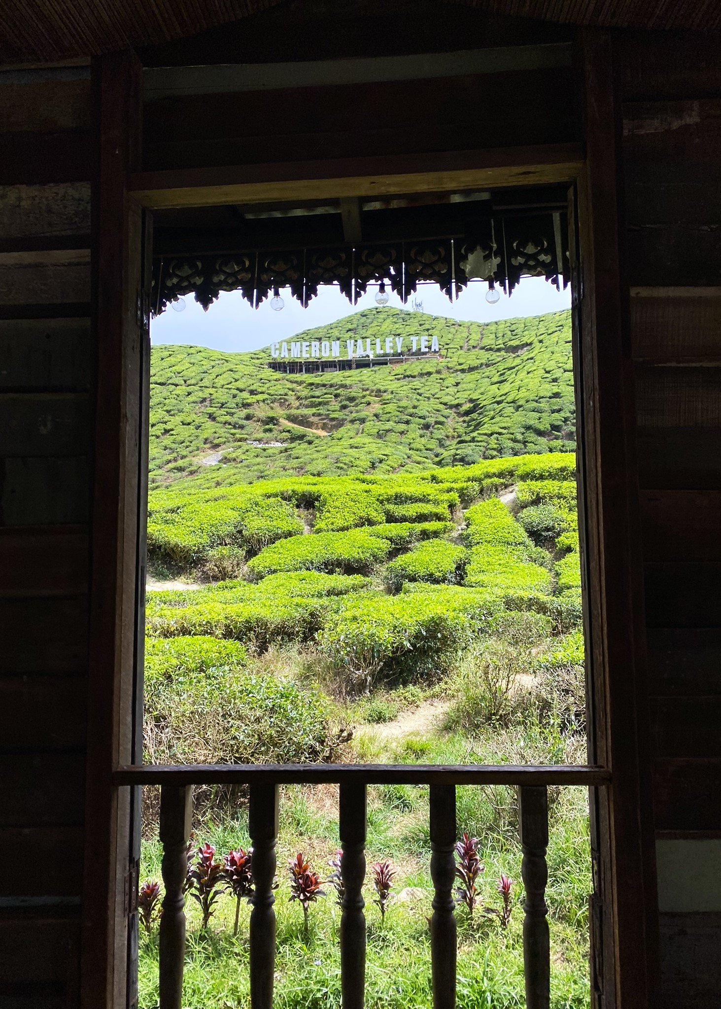 Cameron Highlands is a peaceful hill destination in Malaysia, famous for its cool climate, lush tea plantations, and scenic nature. Muslim travelers will find halal food options, mosques in Tanah Rata and Brinchang, and family-friendly attractions such as mossy forests, strawberry farms, and tea estates. It’s an ideal escape from the city for nature lovers looking for a relaxing and Muslim-friendly destination.