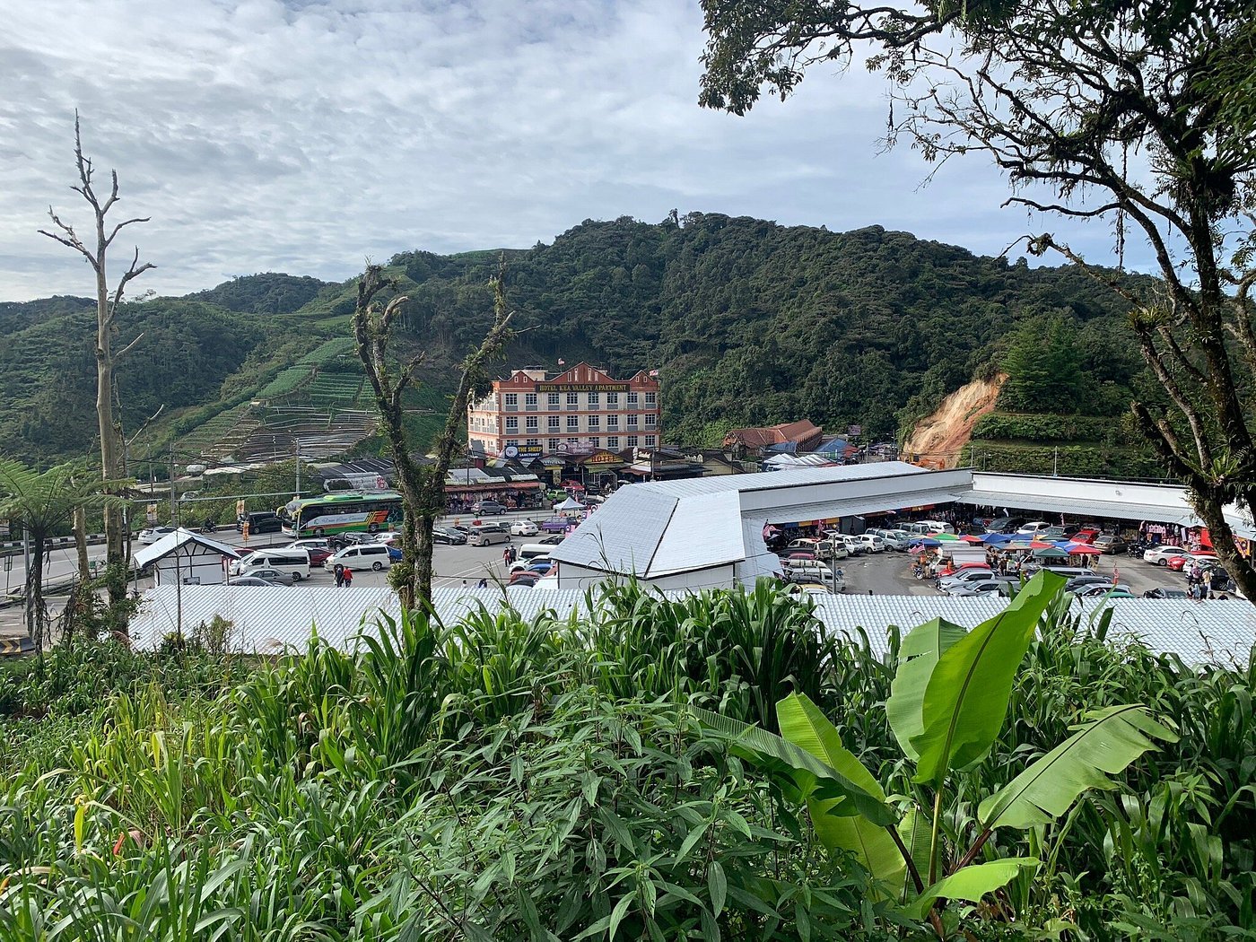 Cameron Highlands is a peaceful hill destination in Malaysia, famous for its cool climate, lush tea plantations, and scenic nature. Muslim travelers will find halal food options, mosques in Tanah Rata and Brinchang, and family-friendly attractions such as mossy forests, strawberry farms, and tea estates. It’s an ideal escape from the city for nature lovers looking for a relaxing and Muslim-friendly destination.