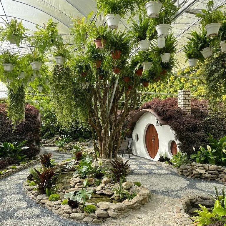 Cameron Highlands is home to colorful flower and flora gardens, showcasing a wide variety of plants in a cool mountain climate. Visitors can explore well-maintained gardens filled with roses, lavender, and seasonal flowers. These gardens are popular for sightseeing, photography, and relaxed family visits.