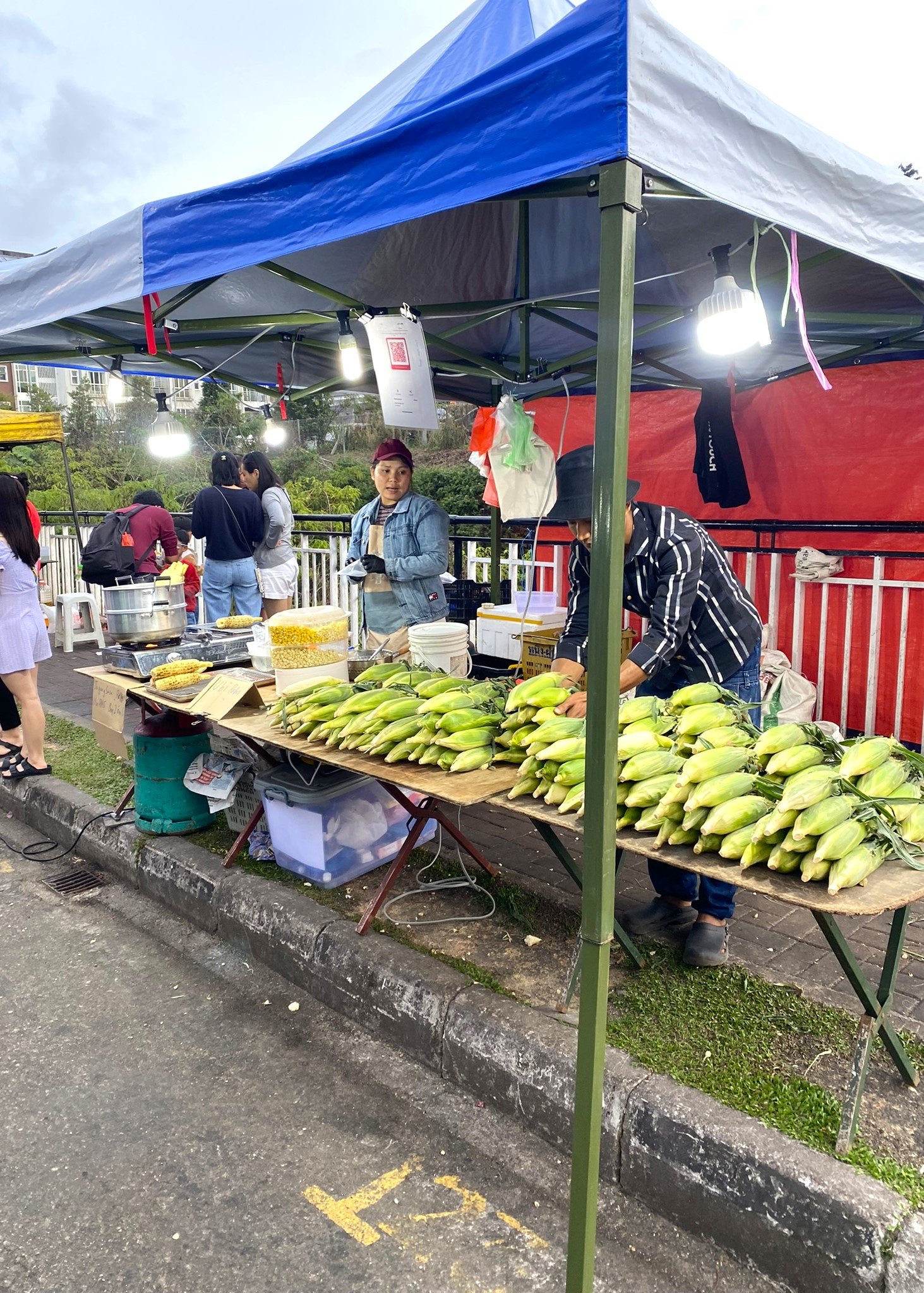The local night market at Kea Farm is a popular place to experience local food, fresh produce, and souvenirs in Cameron Highlands. Visitors can find fruits, snacks, and street food while enjoying the cool evening atmosphere. It’s a great spot to explore local culture and pick up affordable treats during your stay.