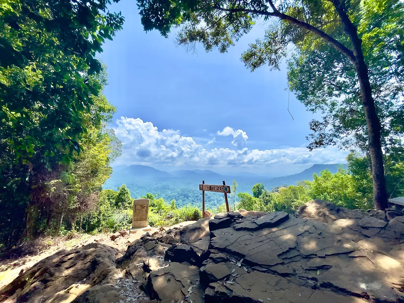 Explore the ancient rainforest of Taman Negara, a perfect halal-friendly destination for Muslim travelers seeking adventure and nature.