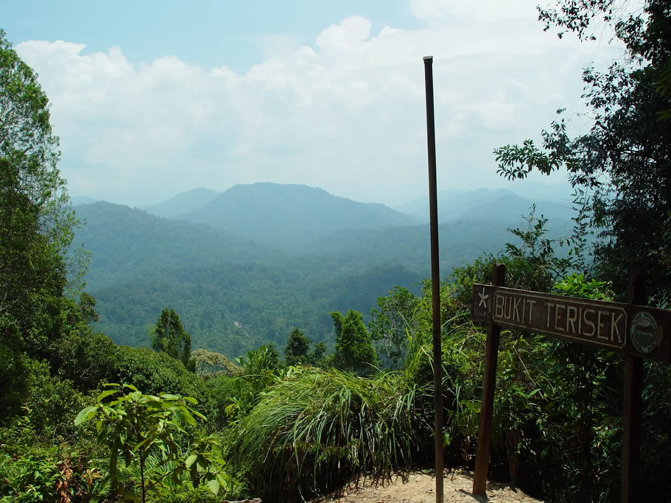 Explore the ancient rainforest of Taman Negara, a perfect halal-friendly destination for Muslim travelers seeking adventure and nature.