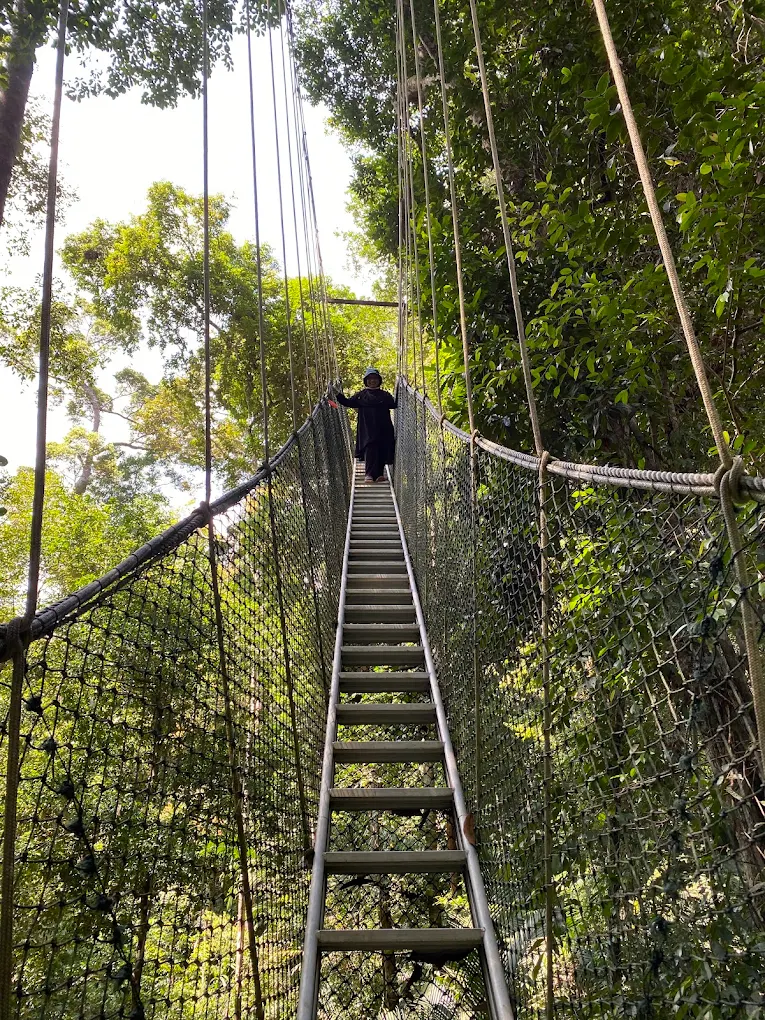 Jungle trekking in Taman Negara offers breathtaking views, wildlife encounters, and a peaceful halal travel experience in Malaysia.