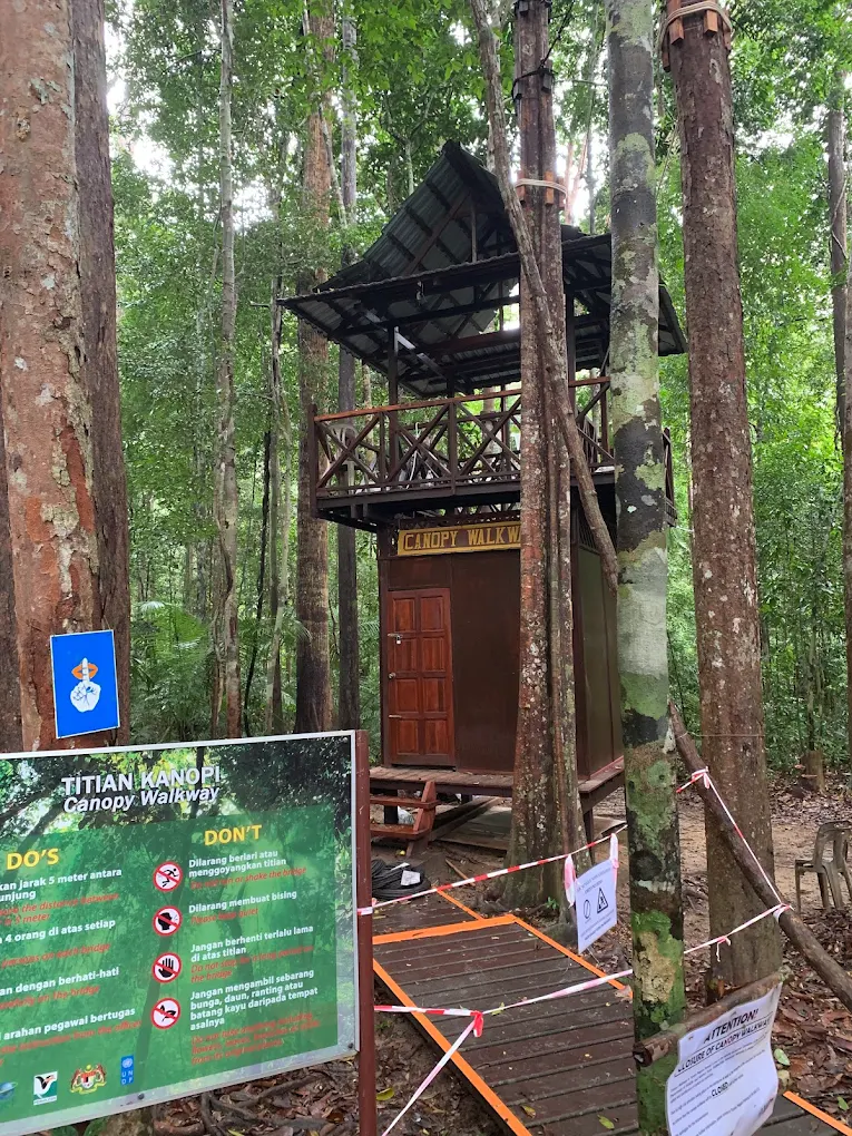 Jungle trekking in Taman Negara offers breathtaking views, wildlife encounters, and a peaceful halal travel experience in Malaysia.