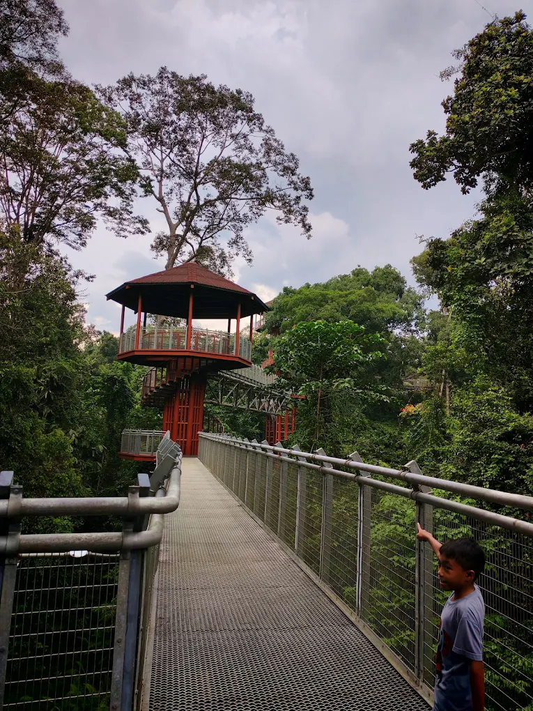 Experience river cruises and rainforest wildlife in Taman Negara, an ideal destination for Muslim-friendly and halal travel in Malaysia.