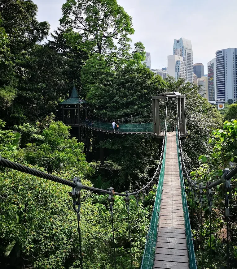 KL Forest Eco Park, located next to the iconic KL Tower, is one of the oldest reserved rainforests in Malaysia and offers a peaceful escape in the heart of Kuala Lumpur. Muslim travellers can enjoy walking trails, wildlife, and the popular canopy walkway with sweeping views of the city skyline. The park is family-friendly, easy to access and perfect for nature lovers, with halal dining options and prayer spaces available near KL Tower and Bukit Bintang. A great spot to combine outdoor adventure with city sightseeing.
