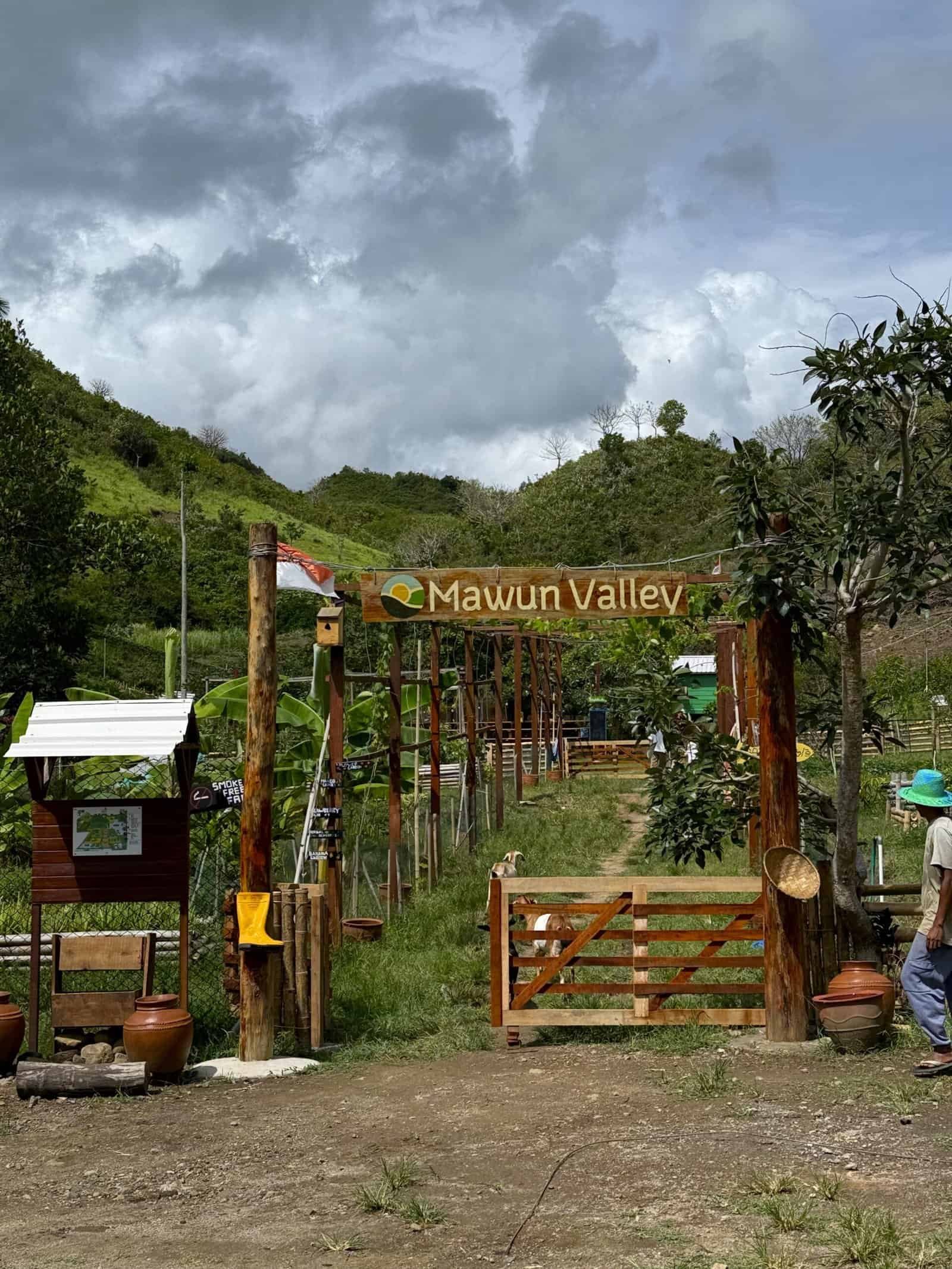 We visited this family-friendly farm in Mawun with our friends and their kids. You can play with animals and there is an organic farm. The place is continuously expanding with new activities like BBQ nights, outdoor cinema, and farming experiences. You can find more info and prices here.