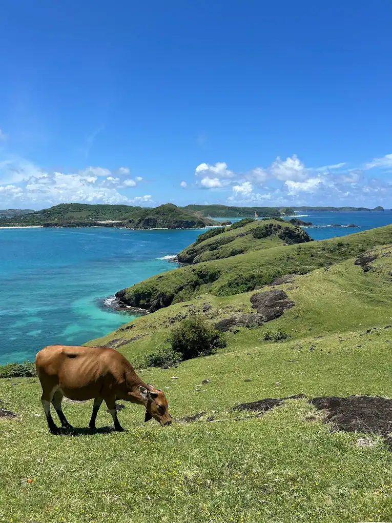 Enjoy panoramic coastal views from Bukit Merese near Kuta Lombok. One of the best things to do in South Lombok, it’s perfect for sunset, scenic walks, and a peaceful, halal-friendly travel experience.