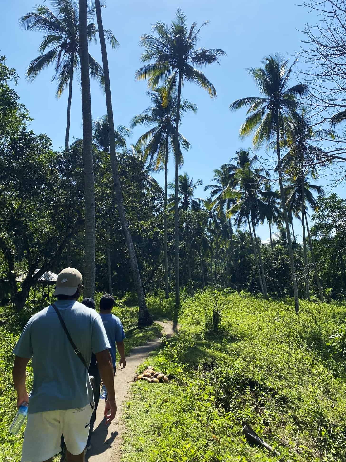 Explore a Lombok forest tour in Lombok and discover lush jungles, waterfalls, and scenic trails near Mount Rinjani. Things to do include rainforest trekking, visiting waterfalls, and enjoying panoramic views. Ideal for Muslim-friendly travel, with halal options and prayer time available—perfect for nature lovers seeking a peaceful outdoor experience.