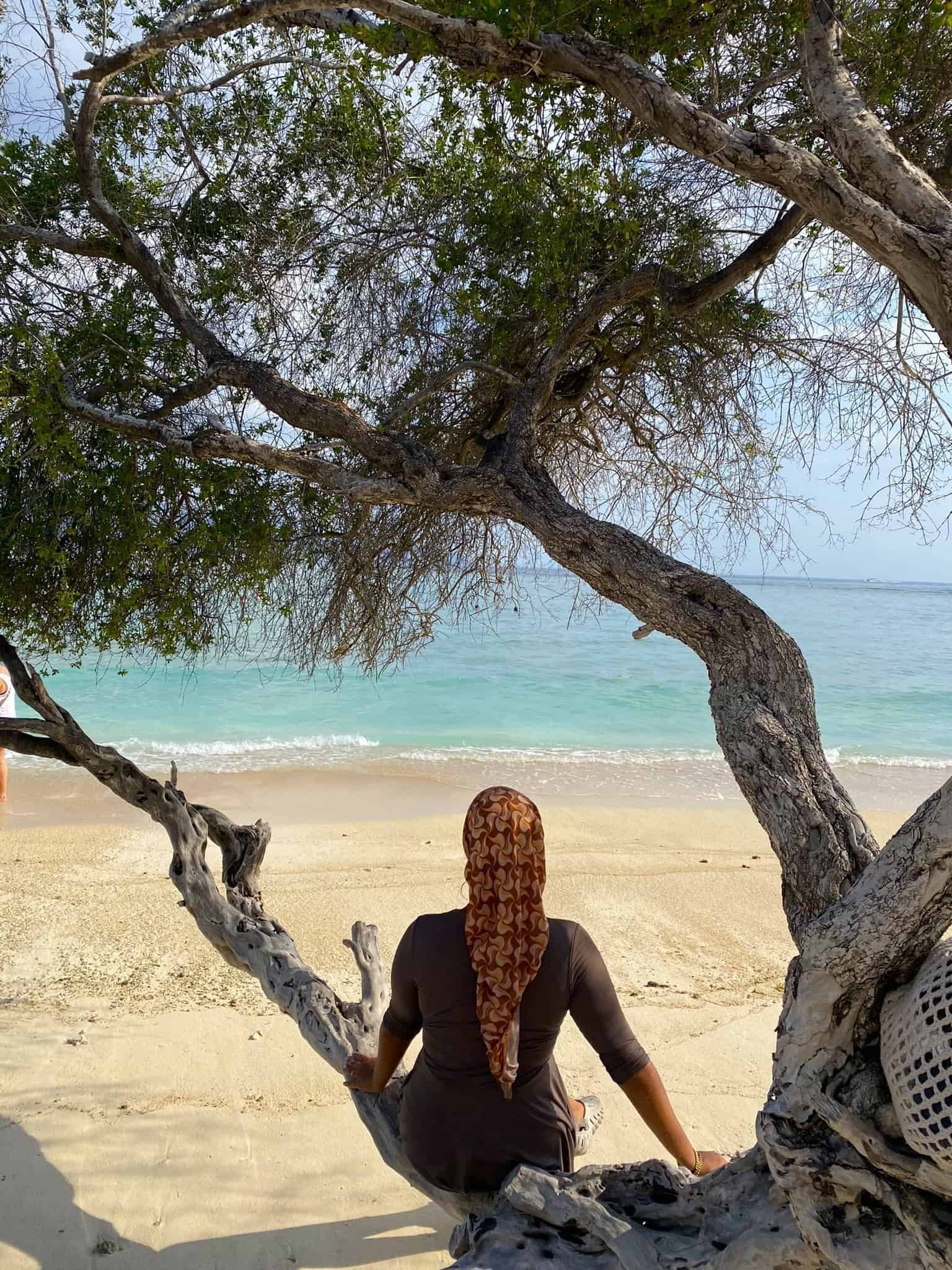 Discover the Gili Islands in Lombok, a top destination for halal travel in Asia. Famous for crystal-clear waters, white sandy beaches, and a relaxing island vibe, the Gilis offer halal food options and a welcoming atmosphere. Perfect for snorkeling, diving, and unwinding, the Gili Islands provide a beautiful and Muslim-friendly escape in Indonesia.