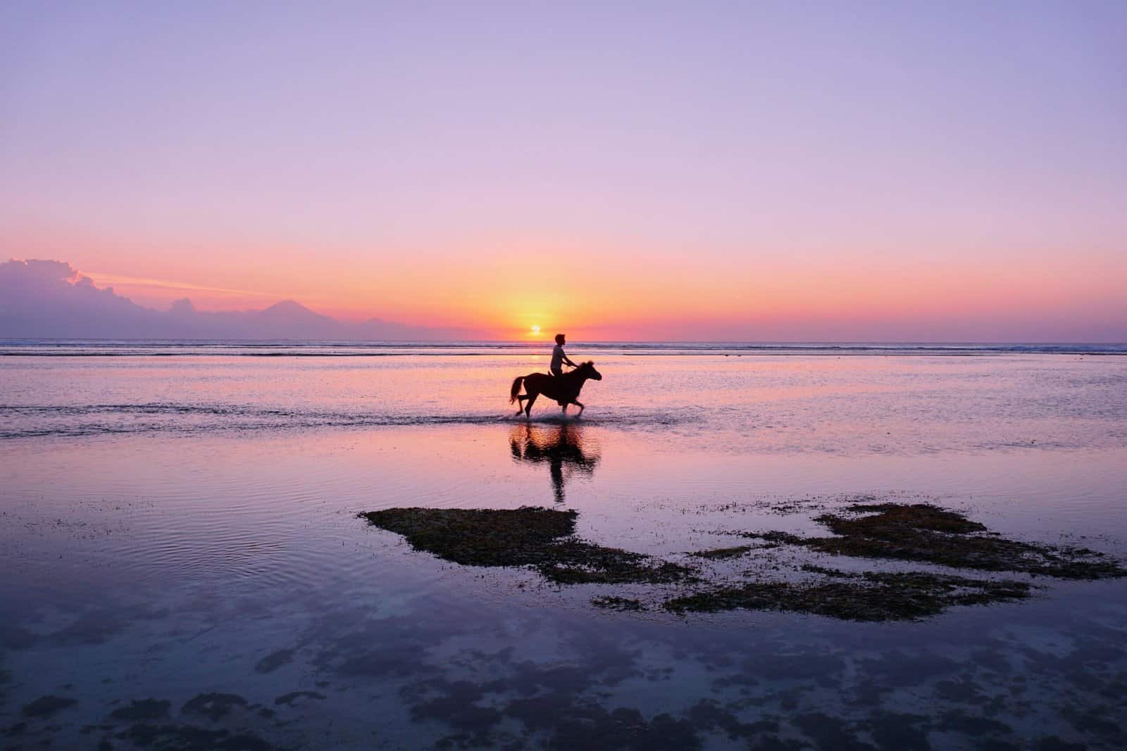 Enjoy horse riding in the Gili Islands, Lombok—an excellent halal-friendly activity for Muslim travelers. Ride along scenic beaches and take in stunning ocean views in a peaceful, respectful environment. Perfect for couples, families, or solo visitors, horse riding offers a relaxing way to explore the islands while experiencing their natural beauty.