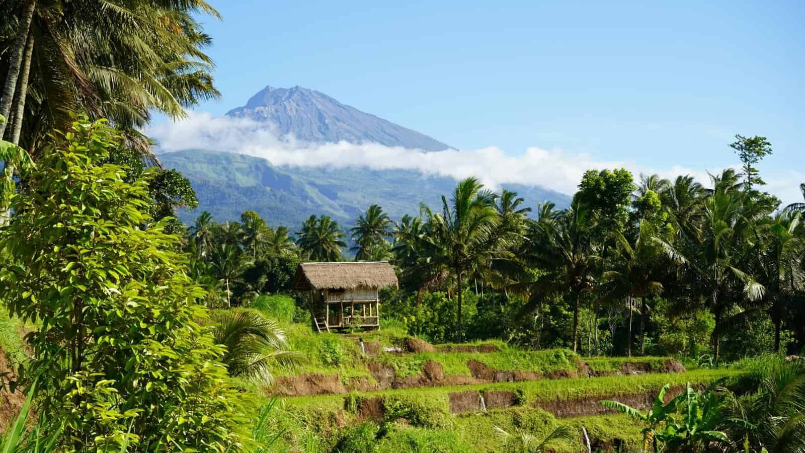 Mount Rinjani in Lombok is one of Indonesia’s top adventure destinations, معروف for its breathtaking views and challenging treks. At 3,726 meters, it offers stunning crater landscapes and the famous Segara Anak Lake. Things to do at Mount Rinjani include multi-day trekking, camping on the crater rim, and exploring natural hot springs. This experience is ideal for nature lovers and adventure seekers looking for an unforgettable outdoor journey. Lombok is also a great Muslim-friendly destination, with many guided tours offering halal meals and time for prayer during the trek.