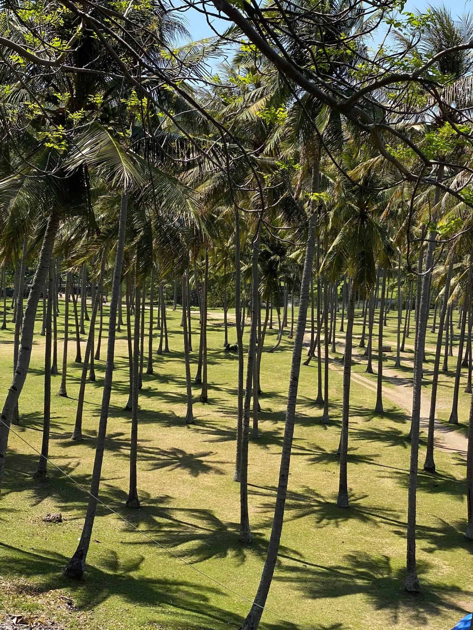 Senggigi in Lombok is a peaceful coastal destination with beautiful beaches and stunning sunsets. Located in Indonesia, it’s ideal for Muslim-friendly travel, with halal food, mosques, and comfortable family resorts nearby.